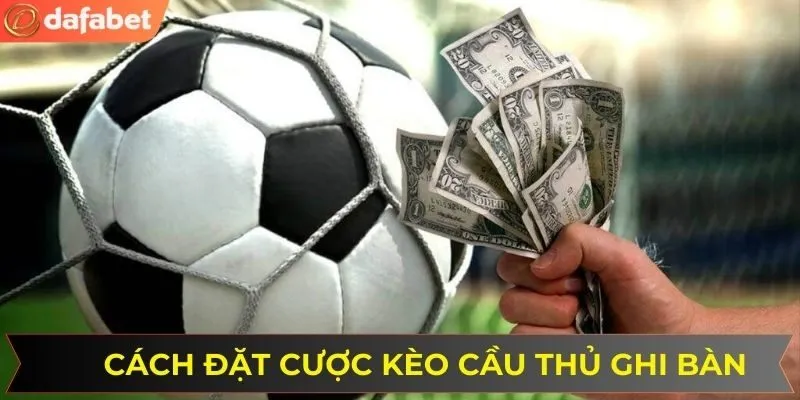 Hướng dẫn chi tiết cách đặt cược để thắng lớn