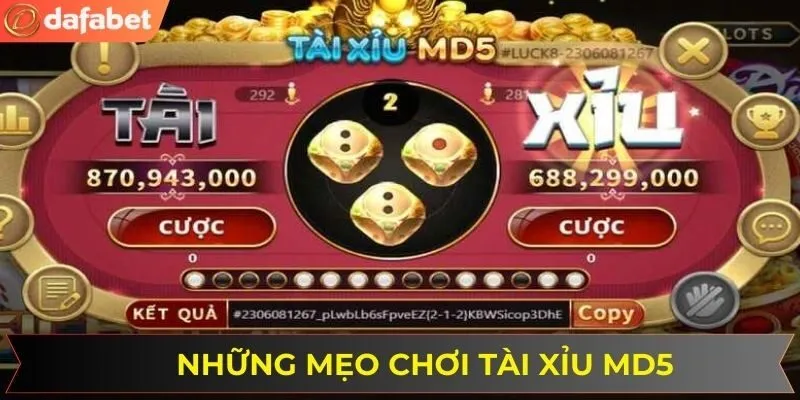 Những mẹo chơi tài xỉu MD5 giúp nâng cao khả năng chiến thắng