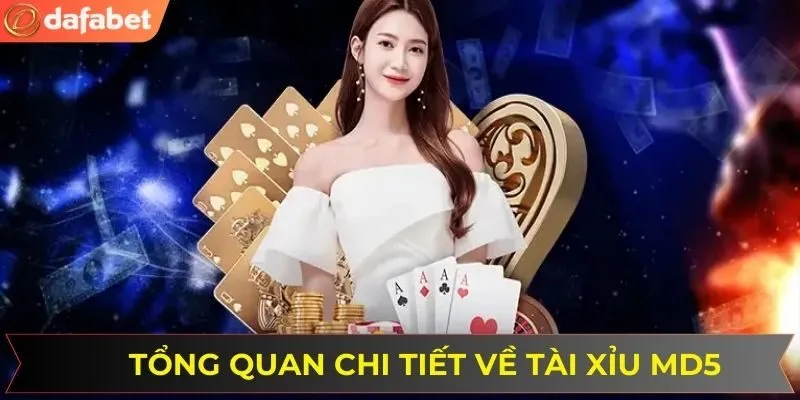 Giới thiệu chi tiết về tài xỉu MD5 tại DAFABET